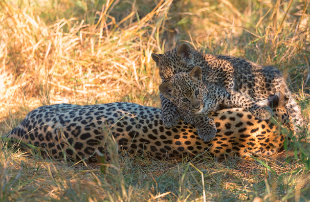 9 Days Adventure & Wildlife Safari