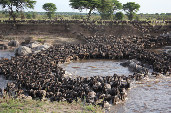 Tanzania