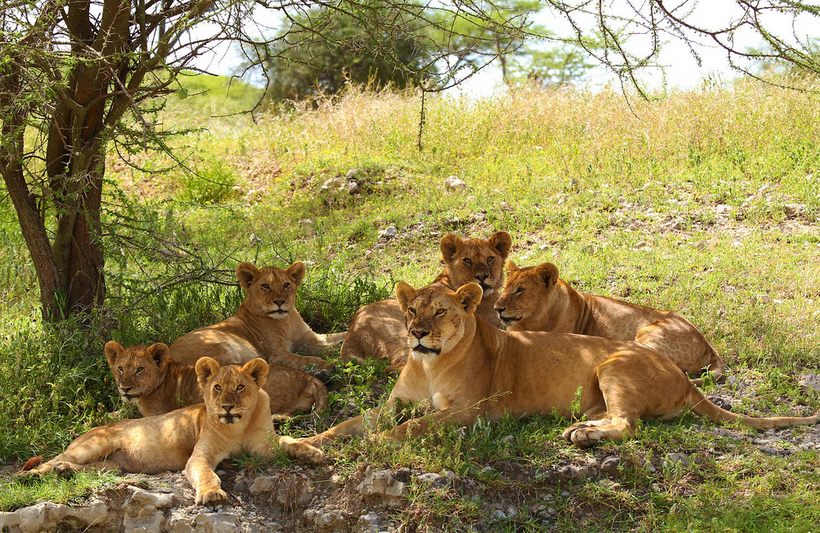 East Africa