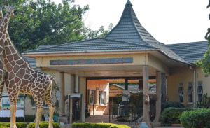1 Day Entebbe Adventure