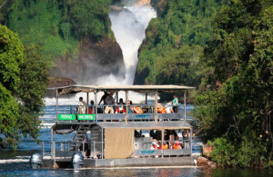 Murchison falls boat cruise